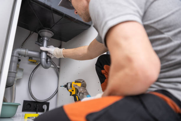 Best Commercial Plumbing Services  in French Island, WI